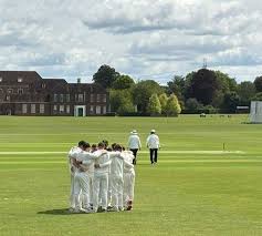 Image result for Old Tiffinians Cricket Club