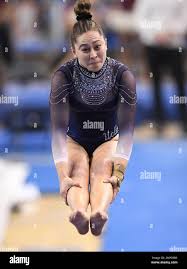Image result for Kendal School Of Gymnastics