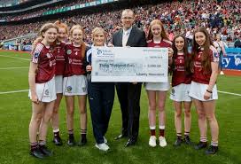 Image result for Bredagh G A C