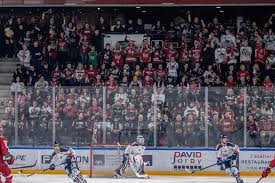 Image result for Cardiff Devils