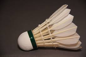 Image result for Shuttles Badminton Club (Frome)