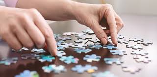 Image result for The Official Uk Puzzle Club
