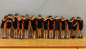 Image result for Hornets Netball Club