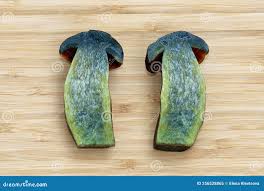 Attēlu rezultāti vaicājumam “Sutorius luridiformis”