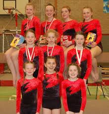 Image result for Appley Bridge Gymnastics Club
