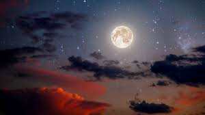 Kết quả hình ảnh cho hinh anh