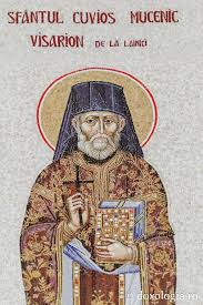 Image result for Sfântul https://ro.wikipedia.org/wiki/Irineu de Lyon