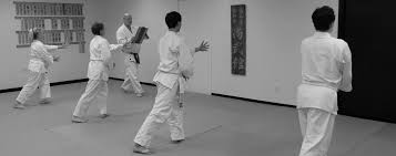 Image result for Aikido - Shobu UK