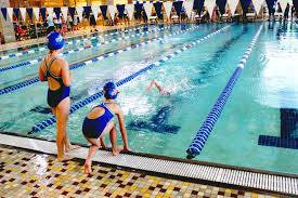 Image result for Gosport Dolphins Swimming Club