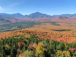 Image result for $$fall_akte__ort$$