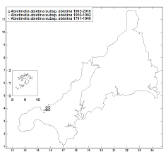 Attēlu rezultāti vaicājumam “Abietinella abietina var. hystricosa”