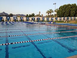 Image result for Elmbridge Phoenix Swimming Club