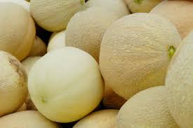 Attēlu rezultāti vaicājumam “Listera ovata fruit”