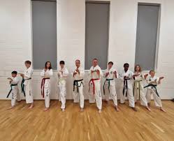 Image result for Bracknell TaeKwon-Do Club