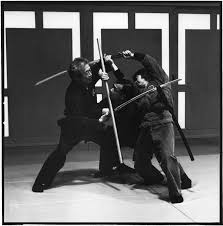Image result for Bujinkan Dojo Seijitsu