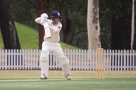 Image result for Brewood Cricket Club