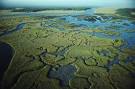 Everglades Pictures and Images