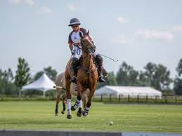 Image result for Cambridge and Newmarket Polo Club