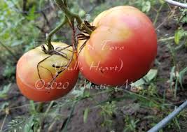 Afbeeldingsresultaat voor butter and bull heart tomato