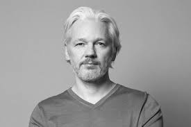 Image result for assange