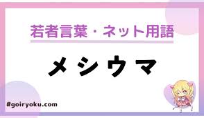 メシウマ에 대한 이미지 검색결과