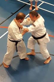 Image result for Bournemouth Shorinji Kempo Club