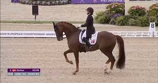 Image result for Interfreestyle Sport Karate