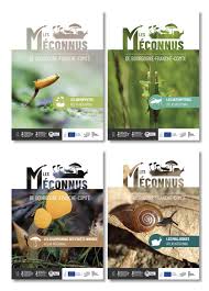 Attēlu rezultāti vaicājumam “Cinclidotus danubicus”