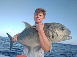 Image result for Caranx ignobilis