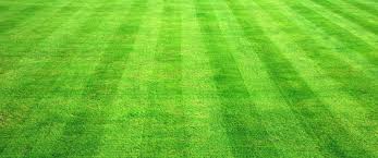 Image result for Middlesbrough Croquet Club