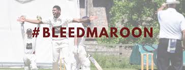 Image result for St Cross Symondians Cricket Club