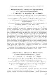 Attēlu rezultāti vaicājumam “Calypogeia azurea macro”