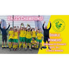 Image result for Milford Pumas Football Club