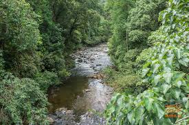 Image result for синхараджа