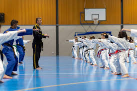 Image result for Impact Martial Arts