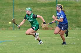 Image result for Ceann Creige Hurling and Camogie Club