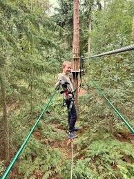 Image result for Go Ape! Thetford