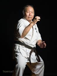 Image result for Imi Jishin Ryou karate do