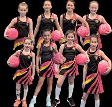 Image result for Shrivenham Netball Club