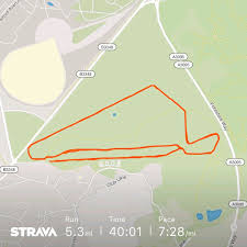 Image result for Finch Coasters Running Club