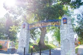 Image result for Lincoln Wellington Athletic Club