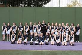 Image result for Farnham Netball Club