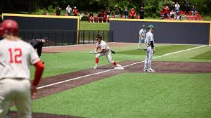 Image result for World Groundball Association