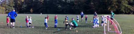 Image result for Whitegrove Football Club