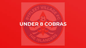 Image result for Byfleet Village Football Club