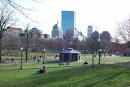 Cause Marketing Challenge: The Boston Common