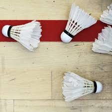 Image result for Sunnyside (Lancaster) Badminton Club
