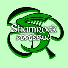 Image result for The Dodgeball Company