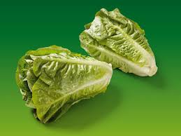 Image result for Römischer Salat