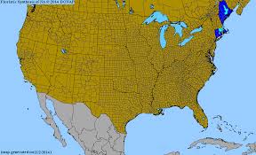 Attēlu rezultāti vaicājumam “x Sorbaronia fallax”